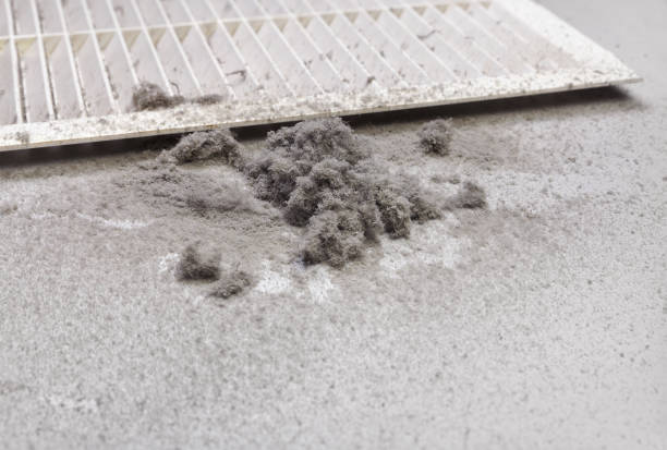 Best HVAC Duct Inspection Services  in Oregon, IL